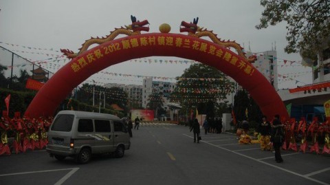 热血花YOUNG陈村！顺德“德甲”，花YOUNG陈村“开波”！全城踢爆绿茵烟火气