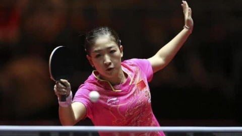 何卓佳2026：国乒“金牌陪练”的逆袭路，这位27岁悍将为何让早田希娜也忌惮三分？