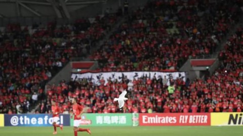 库日天归来金州仍吞苦果！火箭六连胜客场碾压勇士，西部第五距前四仅差半场